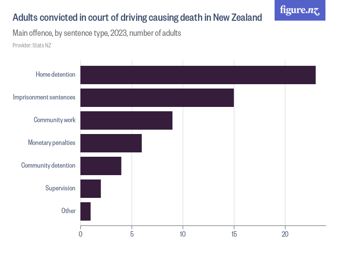 adults-convicted-in-court-of-driving-causing-death-in-new-zealand