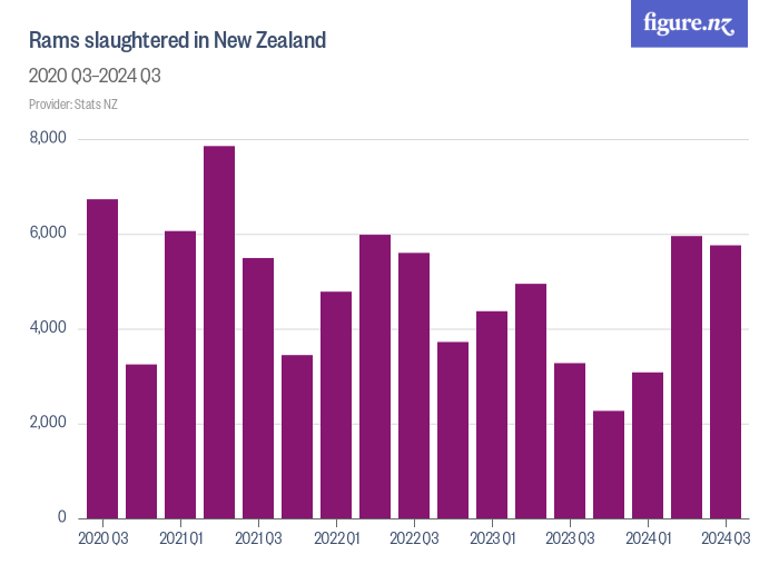 Rams slaughtered in New Zealand - Figure.NZ