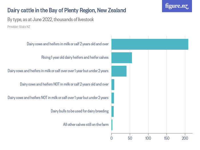 Dairy cattle in the Bay of Plenty Region, New Zealand Figure.NZ