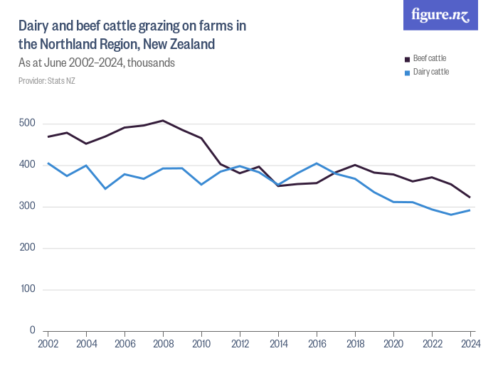 Dairy and beef cattle grazing on farms in the Northland Region, New