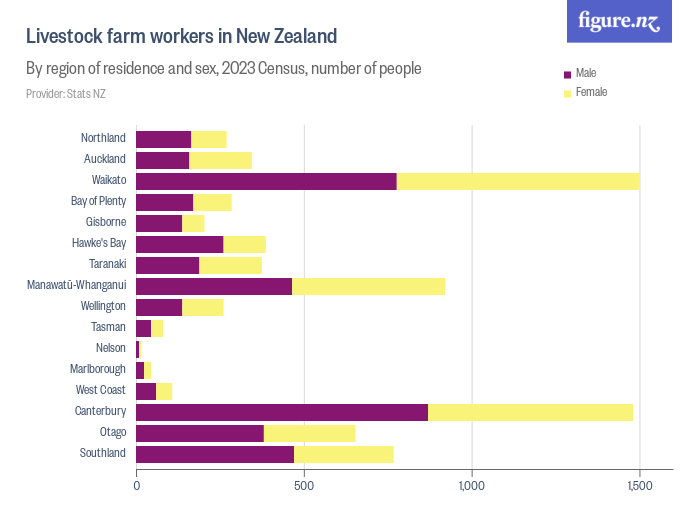 Dairy cattle farm workers in New Zealand Figure.NZ