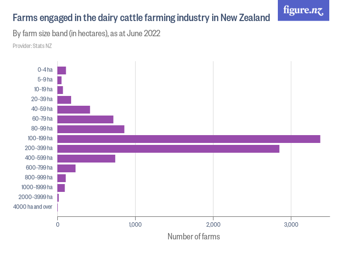 Farms engaged in the dairy cattle farming industry in New Zealand