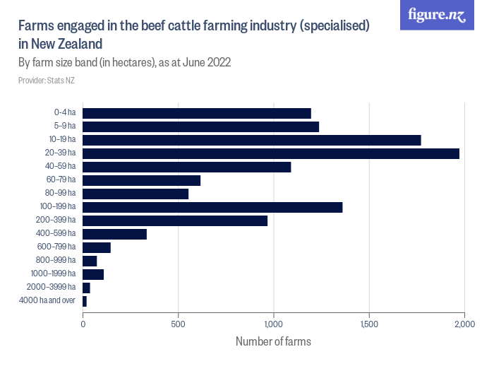 Farms engaged in the beef cattle farming industry (specialised) in New