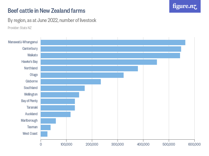 Beef cattle in New Zealand farms Figure.NZ