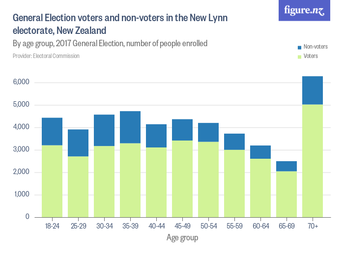 General Election voters and nonvoters in the New Lynn electorate, New