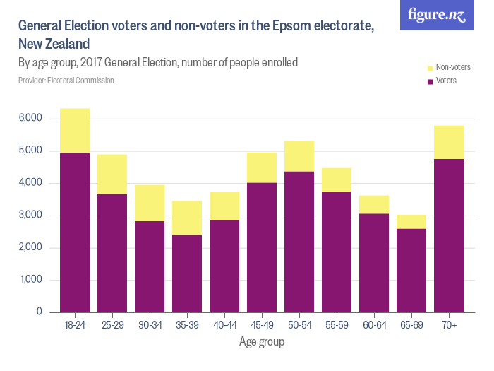 General Election voters and non-voters in the Epsom electorate, New ...