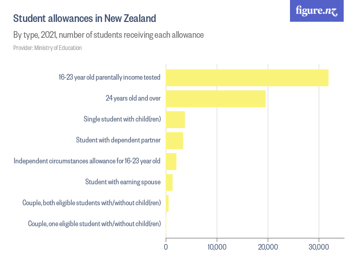 travel allowance for students nz