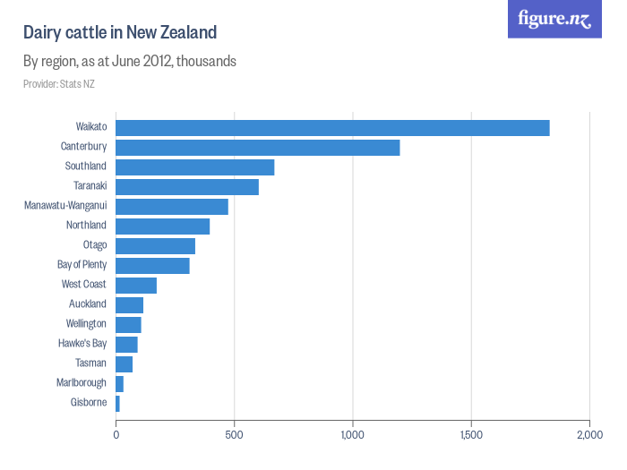 Dairy cattle in New Zealand Figure.NZ