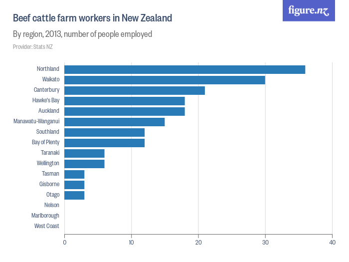 Beef cattle farm workers in New Zealand Figure.NZ