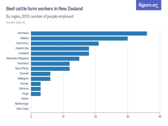 beef-cattle-farm-workers-in-new-zealand-figure-nz