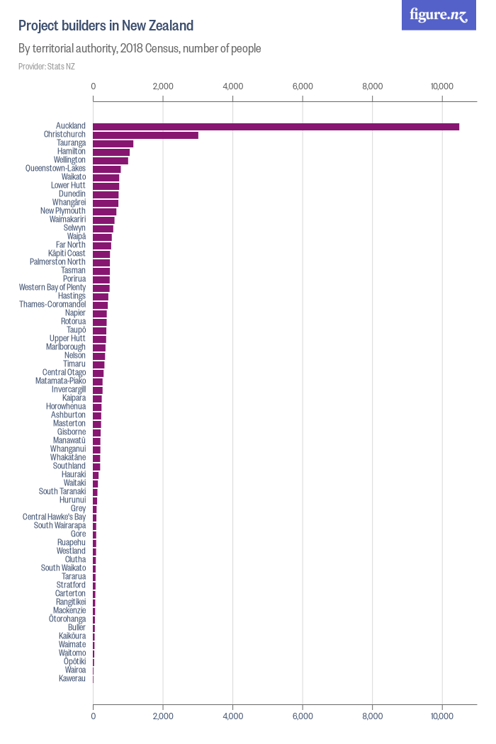 Project builders in New Zealand Figure.NZ